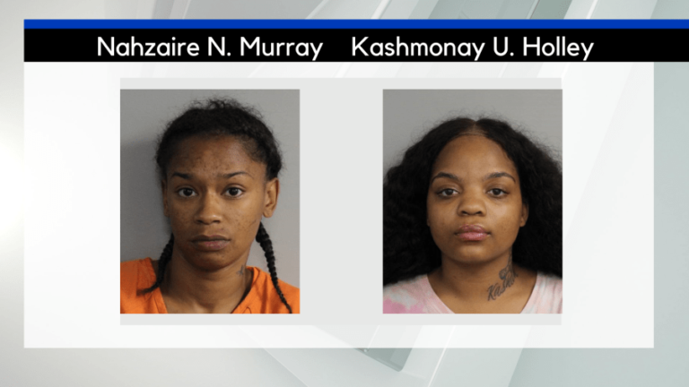 Rochester women sentenced for theft from Erie County beauty store